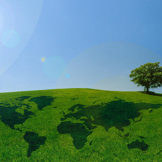 🌍 Earth Day Special: Wie du deine Kleidung pflegst, damit sie länger hält
